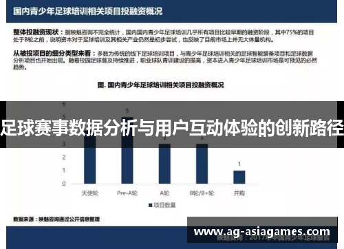 足球赛事数据分析与用户互动体验的创新路径
